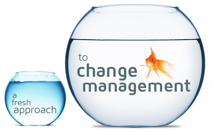 Approaches to change management